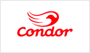 CONDOR KIT PINTURA 5 PEÇAS